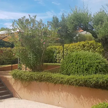 Giulia With Sea View In Novigrad Affittacamere Novigrad Istria