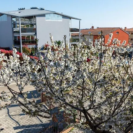 Affittacamere Giulia With Sea View In Novigrad Novigrad Istria