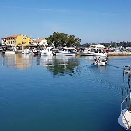 Giulia With Sea View In Novigrad