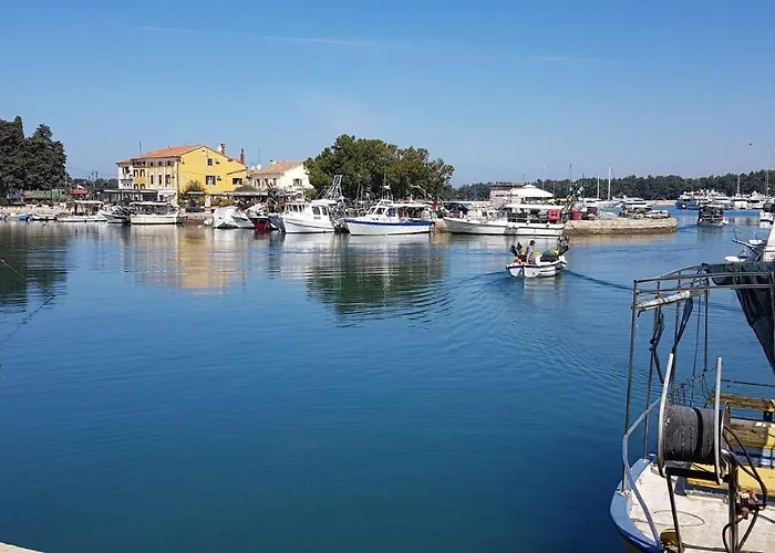 Giulia With Sea View In Novigrad